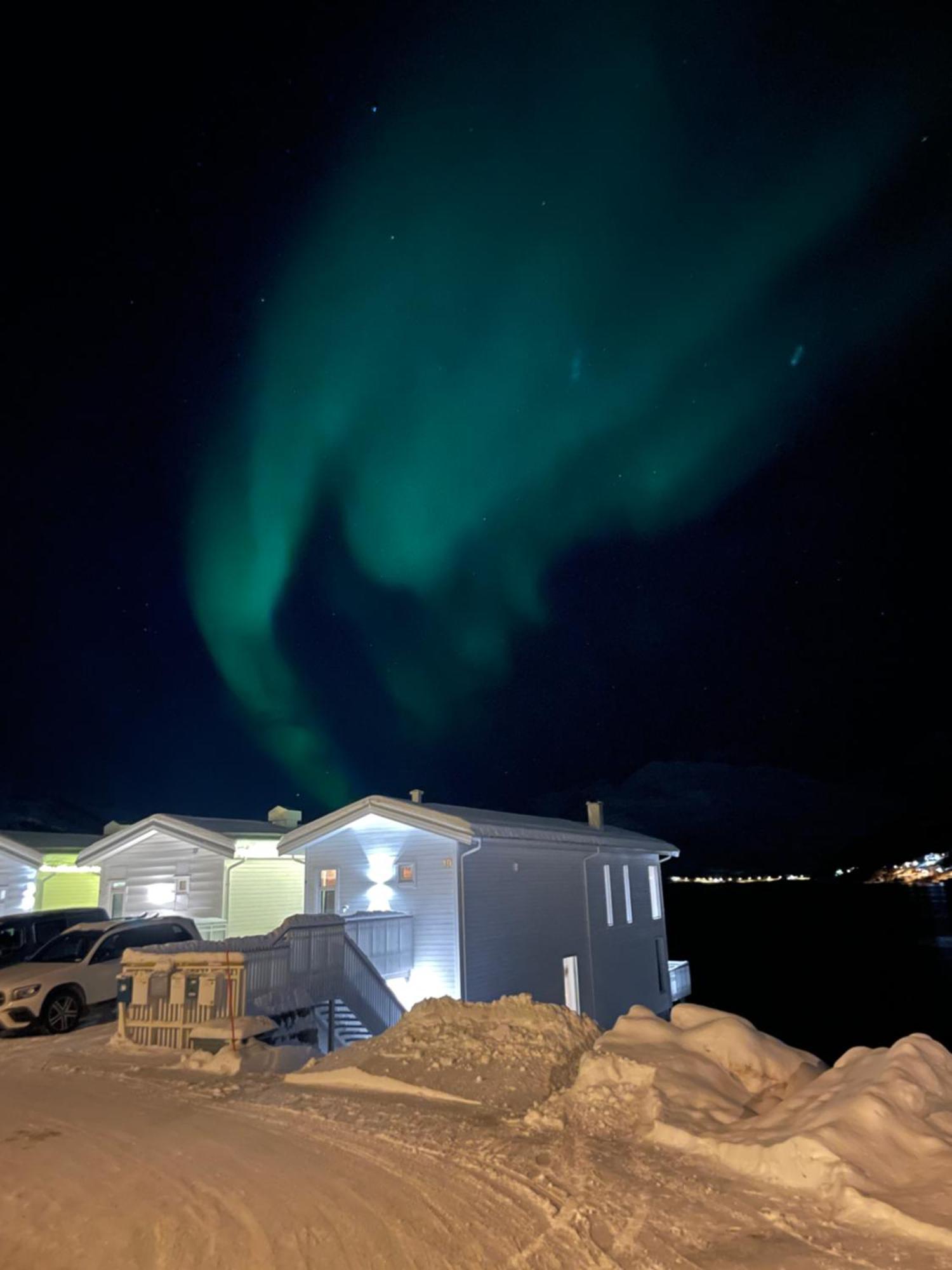 Studio Seaside Tromsø Dış mekan fotoğraf